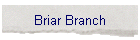 Briar Branch