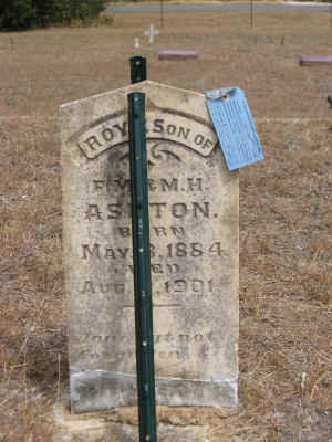 Roy Ashton Marker back in place.jpg (2745893 bytes)