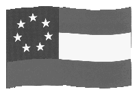 tx_flag5